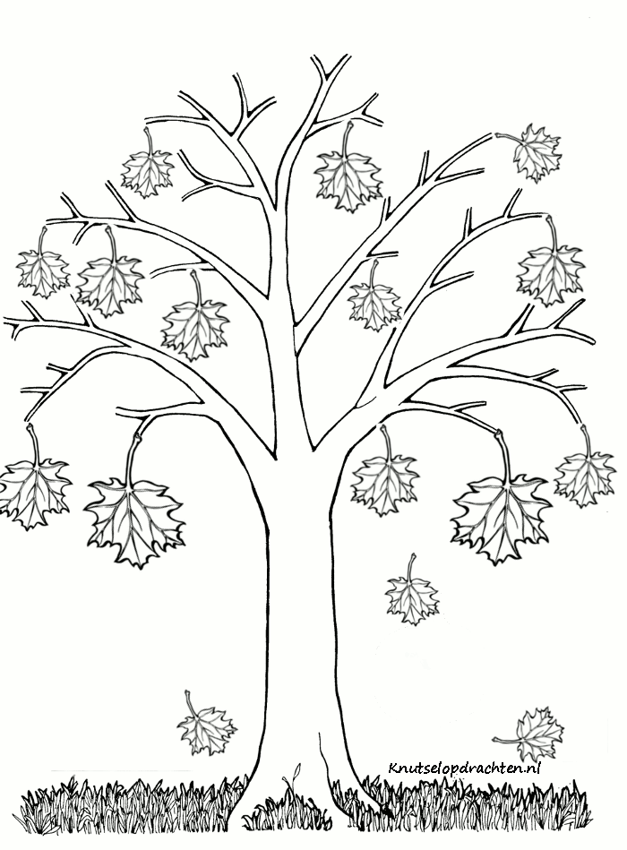 kleurplaat herfstboom