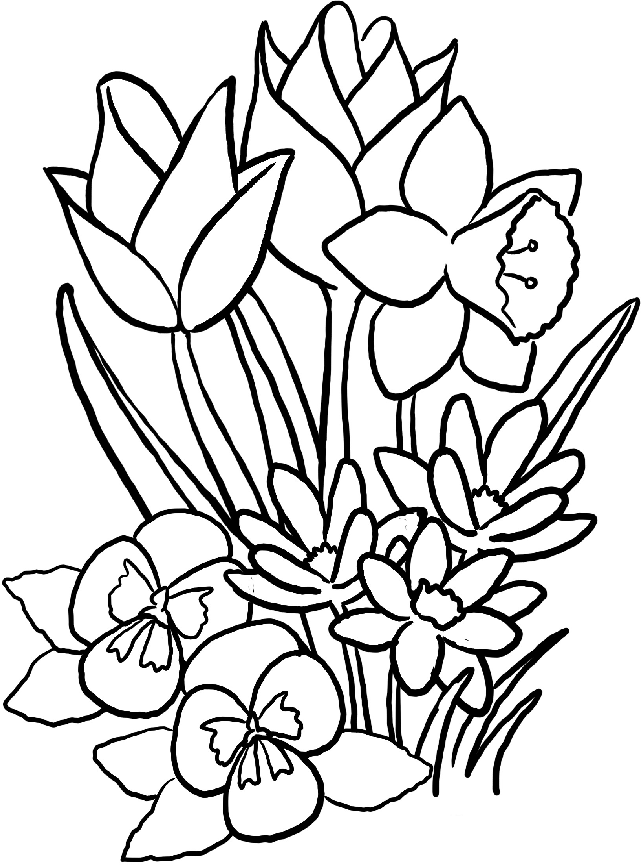 kleurplaat lente bloemen